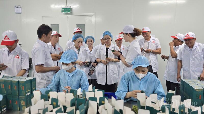 Nhà máy sản xuất của Công ty TNHH Phát triển Khoa học Quốc tế Trường Sinh.