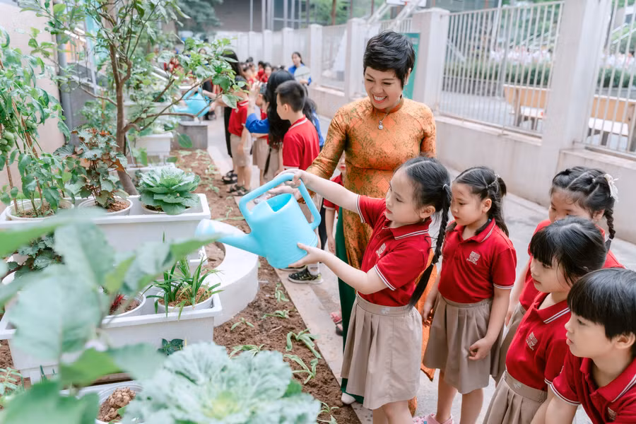Học sinh trường Tiểu học Nguyễn Viết Xuân (phường Yên Hòa) chăm sóc vườn ươm dưới sự hướng dẫn của thầy cô th-nguyen-viet-xuan.jpg