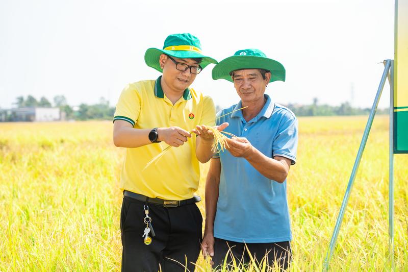 Phân bón Cà Mau tiên phong đồng hành cùng bà con đón những mùa vàng thịnh vượng. Ảnh: PVCFC