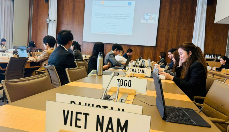 Phần trình bày trực tuyến của đoàn Việt Nam.