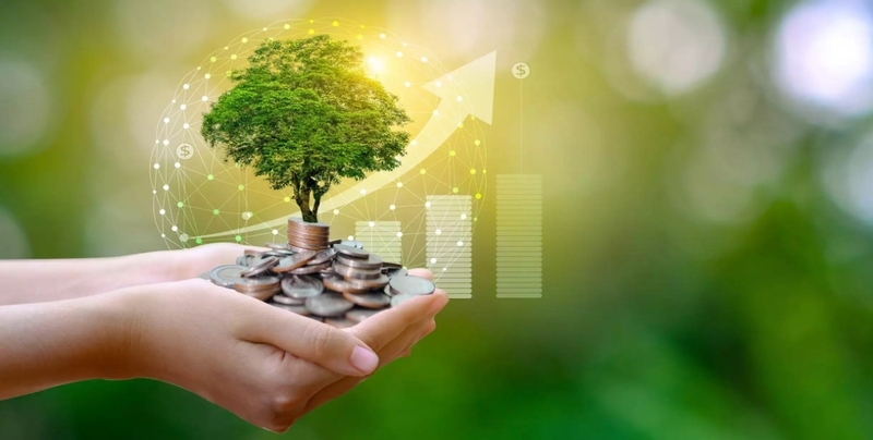 Tín dụng xanh trong nông nghiệp hiện vẫn chiếm tỷ trọng rất nhỏ. Ảnh minh họa