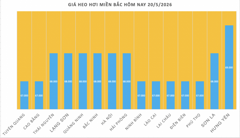 Giá heo hơi hôm nay 20/5/2026: Giảm rải rác - 1