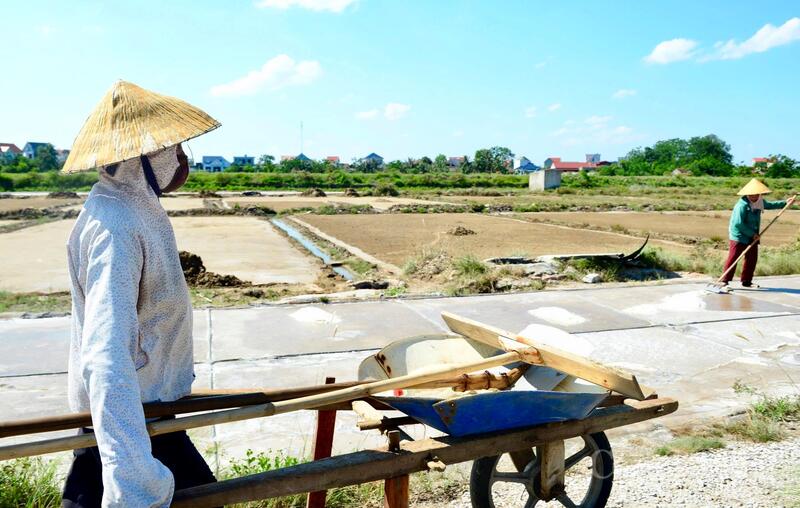 Theo người dân, mỗi năm, bà con chỉ có thể sản xuất trong khoảng 6 - 7 tháng, còn những ngày mưa phải nghỉ hoàn toàn. Đặc biệt, nghề này vất vả, thu nhập lại bấp bênh nên hiện nay không còn người trẻ theo, những cánh đồng muối chỉ còn người lớn tuổi bám trụ. Ảnh: Quốc Anh