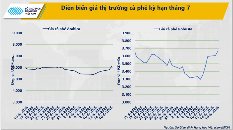 Diễn biến giá cà phê kỳ hạn tháng 7. Nguồn: MXV