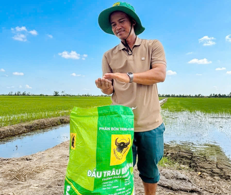 Nông dân chuẩn bị bón phân bón Đầu Trâu thế hệ Bio-Canxi giúp cây lúa hấp thu dinh dưỡng tối ưu