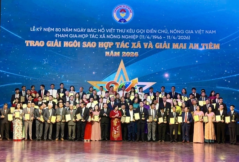 Những nỗ lực bền bỉ của chị Trương Thị Bạch Thủy đã được ghi nhận bằng nhiều phần thưởng xứng đáng. Ảnh: Thuỷ Tuyết.