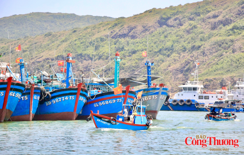 Tỉnh Gia Lai đặt mục tiêu đẩy mạnh ứng dụng khoa học - công nghệ trong toàn chuỗi giá trị thủy sản, từ khai thác, nuôi trồng đến chế biến và tiêu thụ.