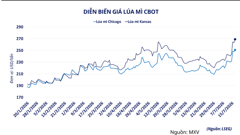 Diễn biến giá lúa mì CBOT