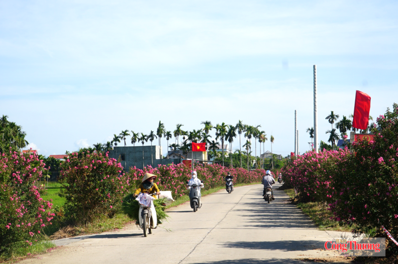 Đều đặn hàng tuần, hàng tháng, 40 cựu chiến binh của Tổ dân phố sẽ tập trung để làm cỏ, chăm sóc cho hàng trăm gốc hoa.