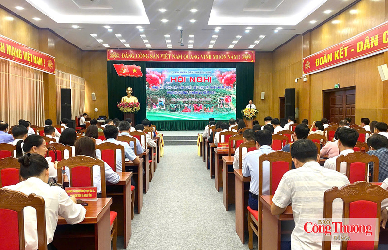 Hội nghị Tổng kết công tác sản xuất và tiêu thụ vải thiều năm 2026, phương hướng, nhiệm vụ năm 2027