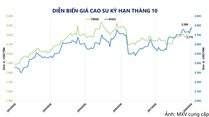 Diễn biến giá cao su kỳ hạn tháng 10