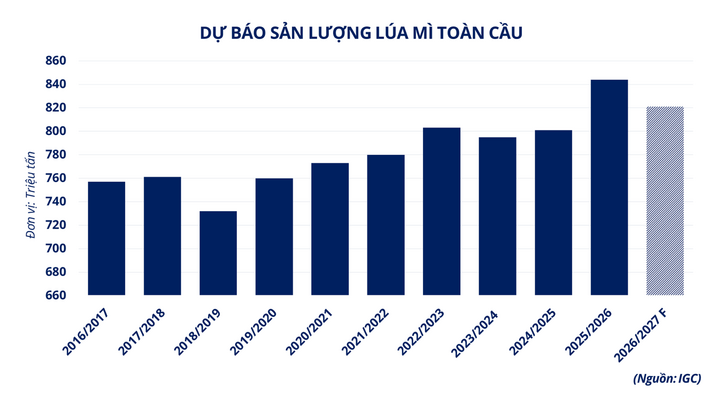 Dự báo sản lượng lúa mì toàn cầu.