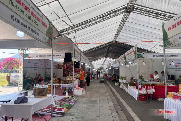 Lễ hội Cà phê Sơn La lần thứ hai năm 2026 đang được khẩn trương hoàn tất. Các doanh nghiệp, HTX đã sẵn sàng đón đại biểu, du khách và đối tác đến tham quan, trải nghiệm.