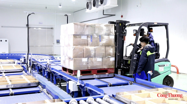 GoGlobal đặt mục tiêu đào tạo ít nhất 10.000 lượt doanh nghiệp và tư vấn cho 1.000 doanh nghiệp xây dựng kế hoạch vươn ra thị trường quốc tế.